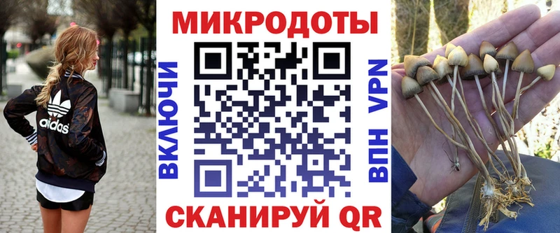Галлюциногенные грибы Magic Shrooms  как найти   Кадников 