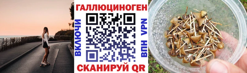 Псилоцибиновые грибы мицелий Кадников